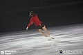 VBS_2164 - Monet on ice